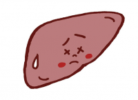 肝臓-1